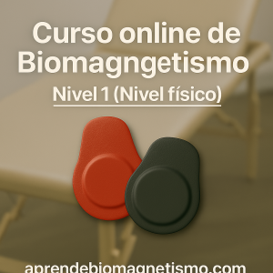 Curso Nivel 1 de Biomagnetismo | Nivel Físico